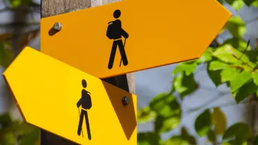 Yellow hiking trail signs on a wooden post surrounded by green leaves.