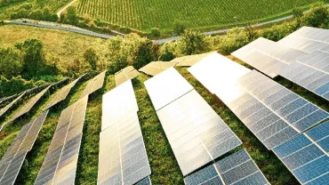 Solar panels in a field with green hills and trees in the background.